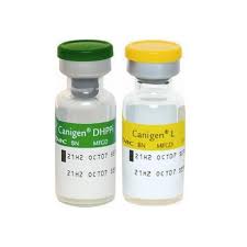 Canigen DHA2PPIl